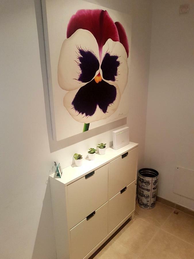 Apartamento Moderno باياذوليد المظهر الخارجي الصورة